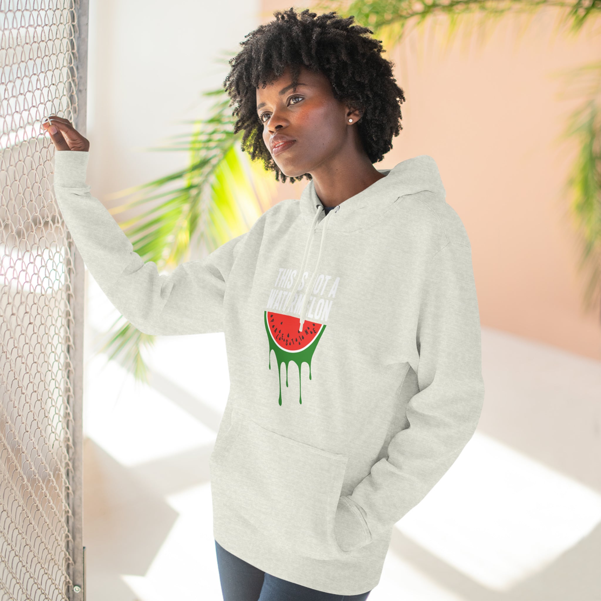 This Is Not a Watermelon Unisex Premium Pullover Hoodie