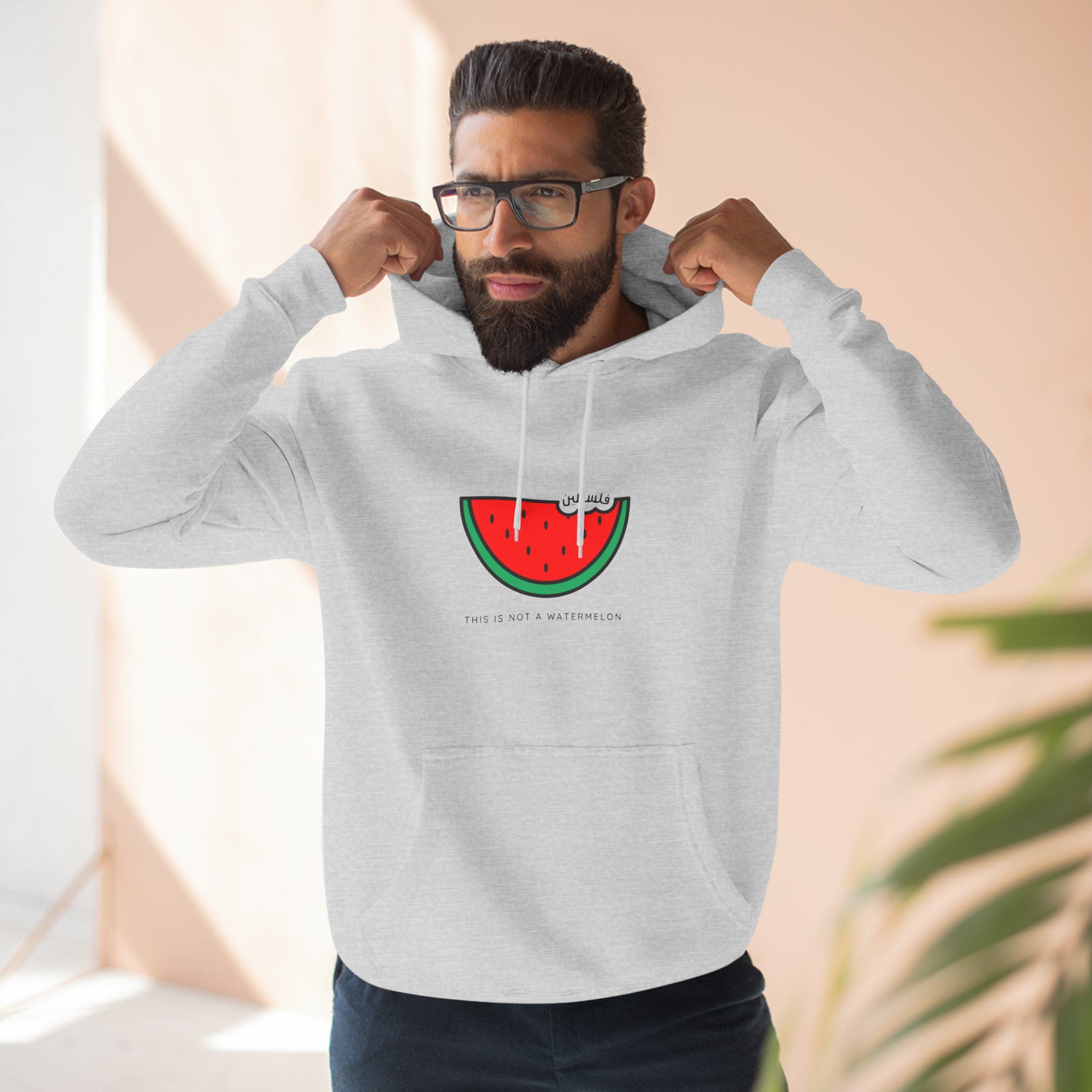 Not a Watermelon Unisex Premium Pullover Hoodie